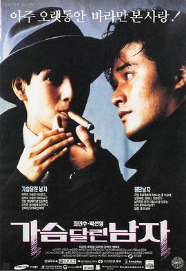 九万里的风封面